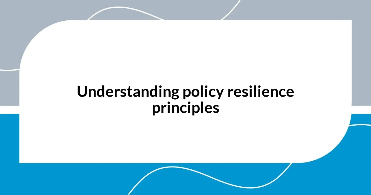 Understanding policy resilience principles