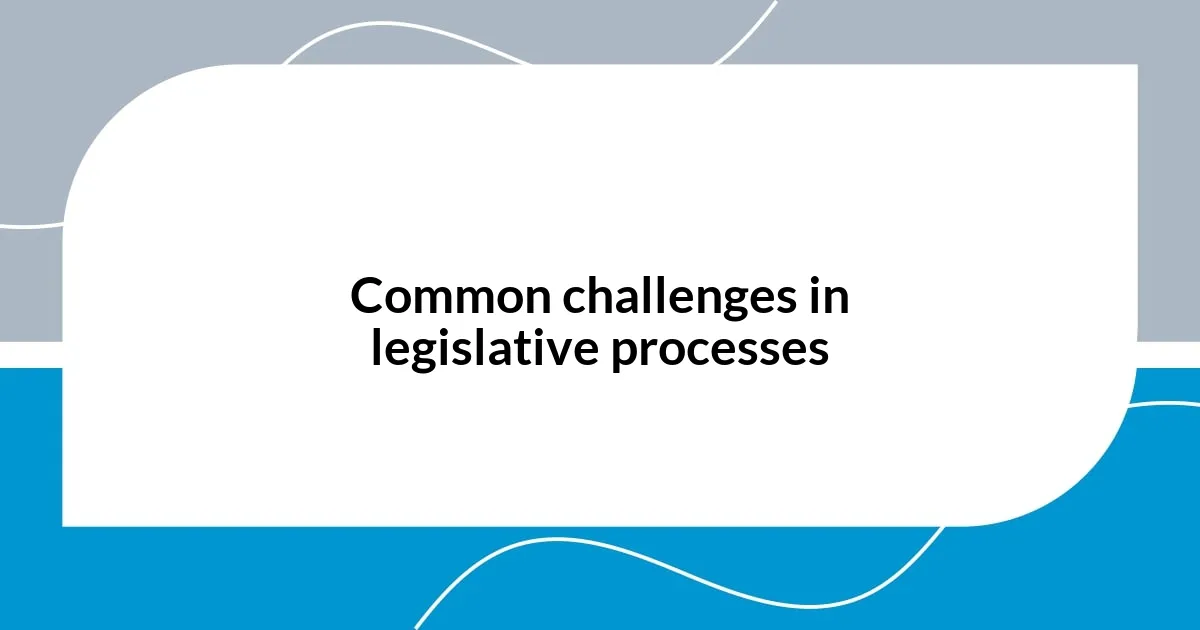 Common challenges in legislative processes