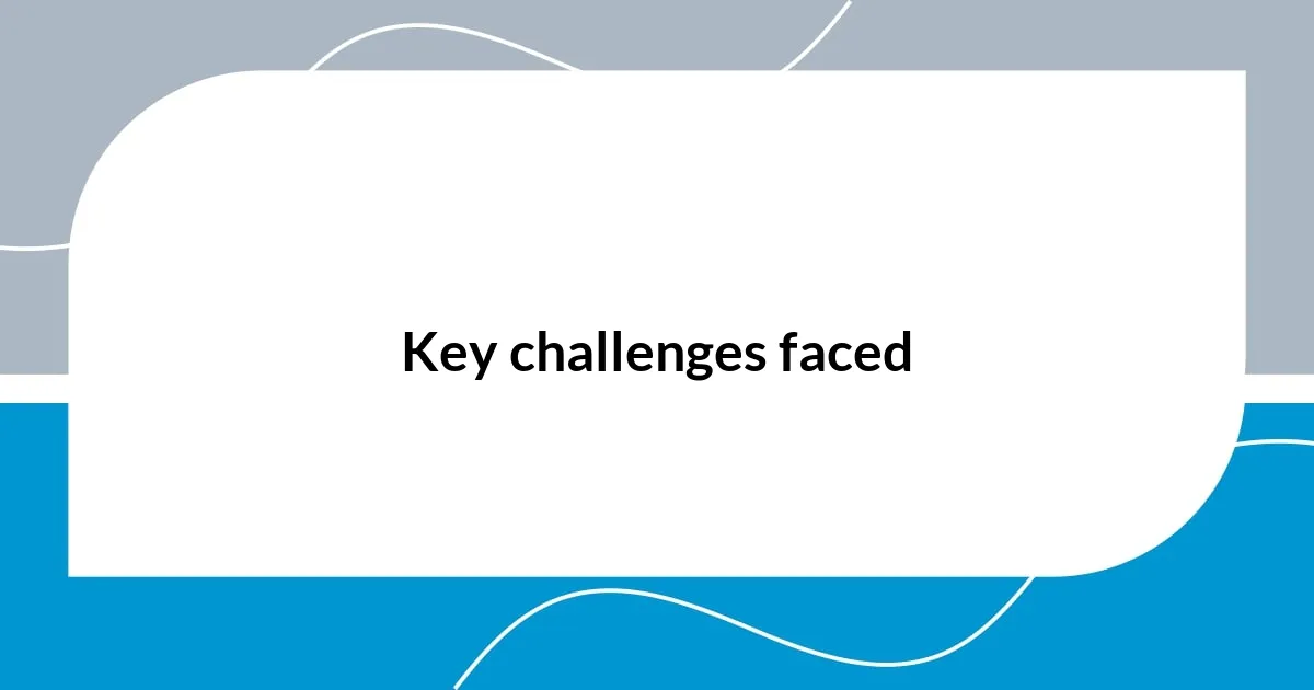 Key challenges faced